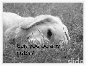 cZI1Q4P-6j8rNwHCpTyXzjOL-Jn6DrgV.jpg, 16 KB